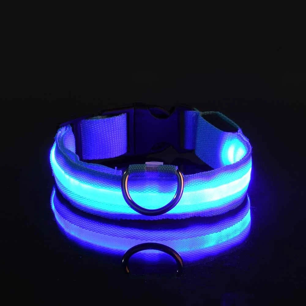 LED Dog Collar Glowing for Night Walks