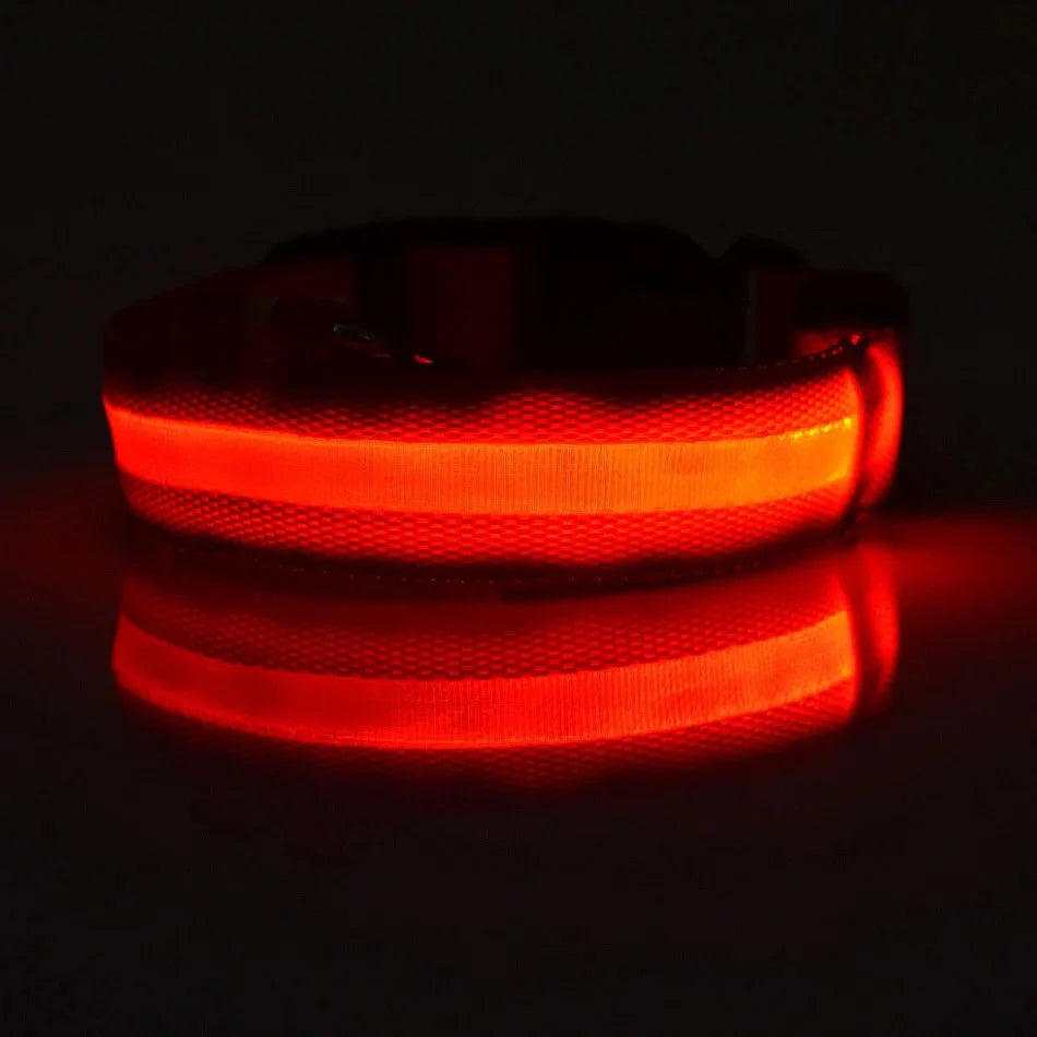 LED Dog Collar Glowing for Night Walks