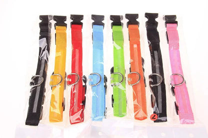 LED Dog Collar Glowing for Night Walks