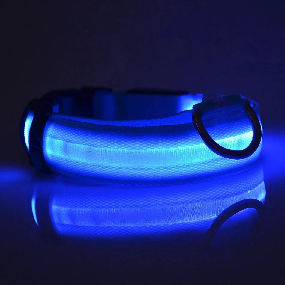 LED Dog Collar Glowing for Night Walks