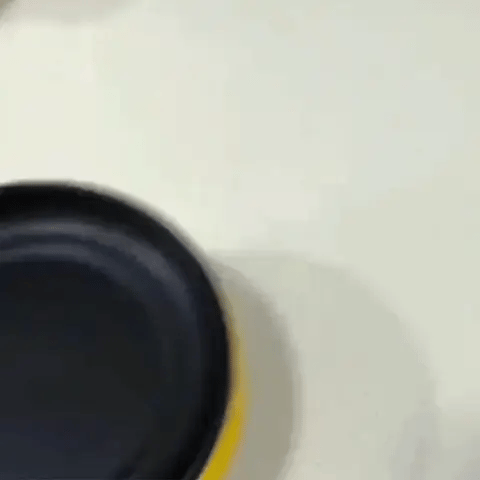 2-in-1 Electric Pan & Egg Cooker
