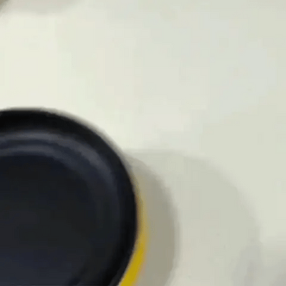 2-in-1 Electric Pan & Egg Cooker