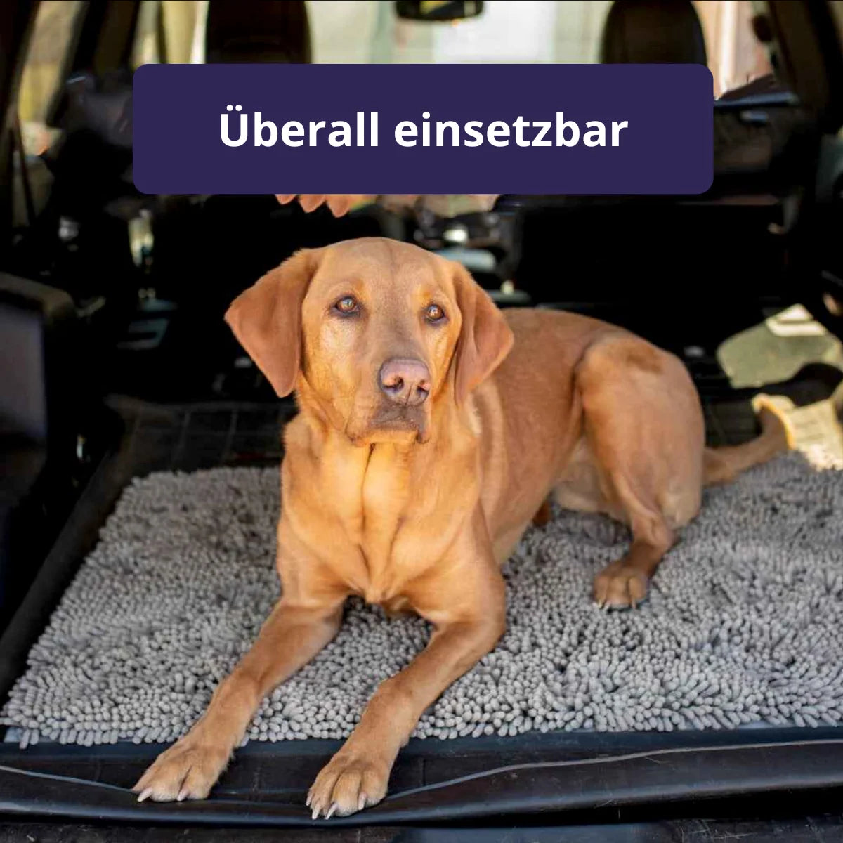 1+1 FREE | PawGuard Mat – No More Dirty Dog Paws in the House