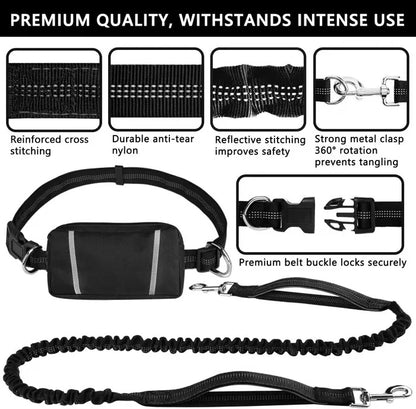 FlowLeash Dog Leash with Shock Absorber & Hip Belt