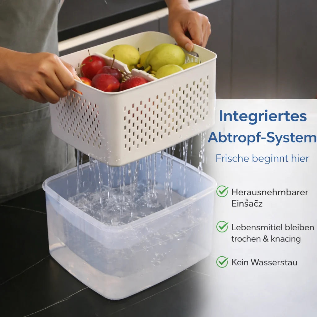 SealMate™ Food Container for Freshness