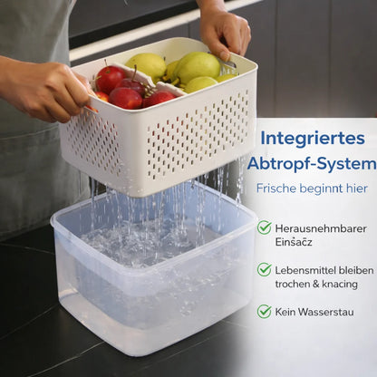 SealMate™ Food Container for Freshness