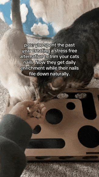 Cat Scratching Puzzle Activity Box