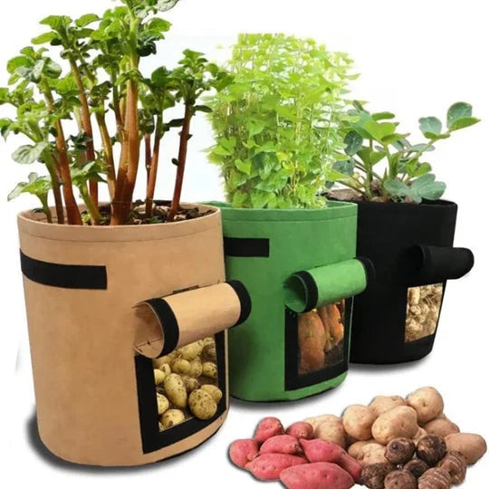 Breath Magic™ Plant Bag — Awaken Living Roots and Harvest Freedom with Every Touch!