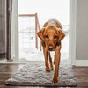 1+1 FREE | PawGuard Mat – No More Dirty Dog Paws in the House